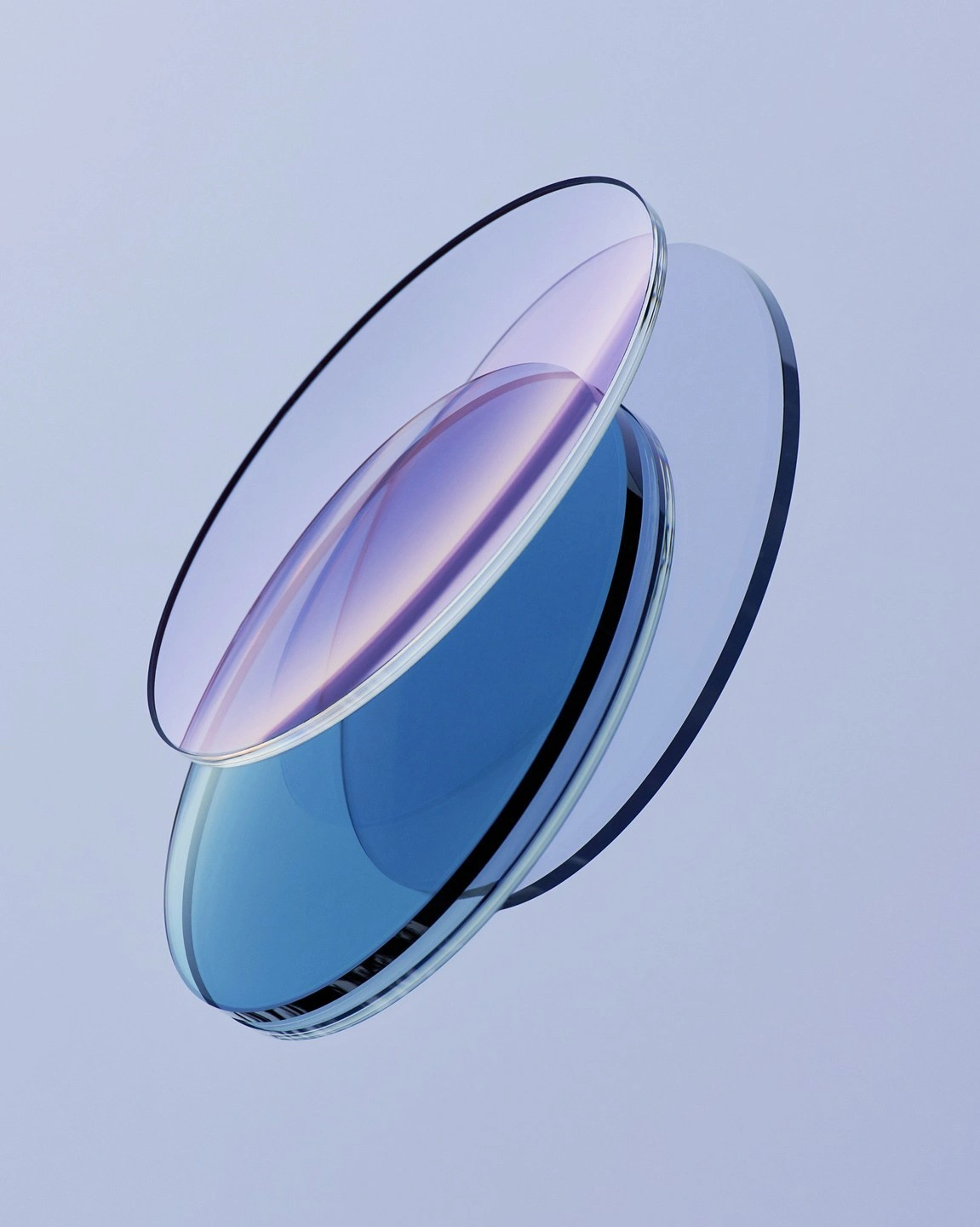 Interactive Web Experience